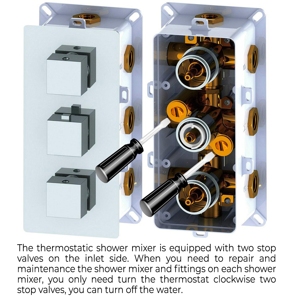 Reno Brass Multi-Function Shower System
