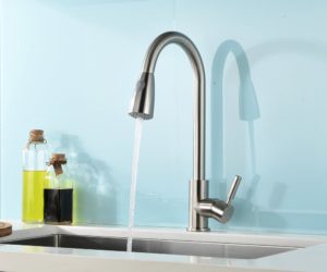 Single Handle Kitchen Sink Faucet with Pull Down Sprayer