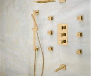 Gold Tone Finish Napoli Shower Set