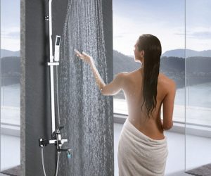 Fontana Brass Finish LED Shower Head with Handheld Shower and Shower Faucet